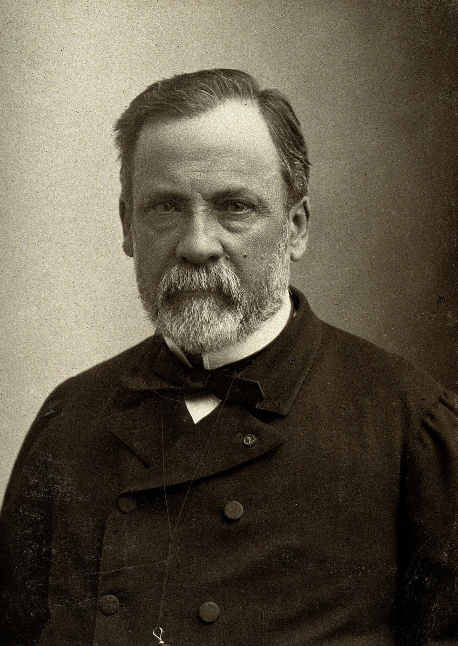 Portrait of Louis Pasteur
