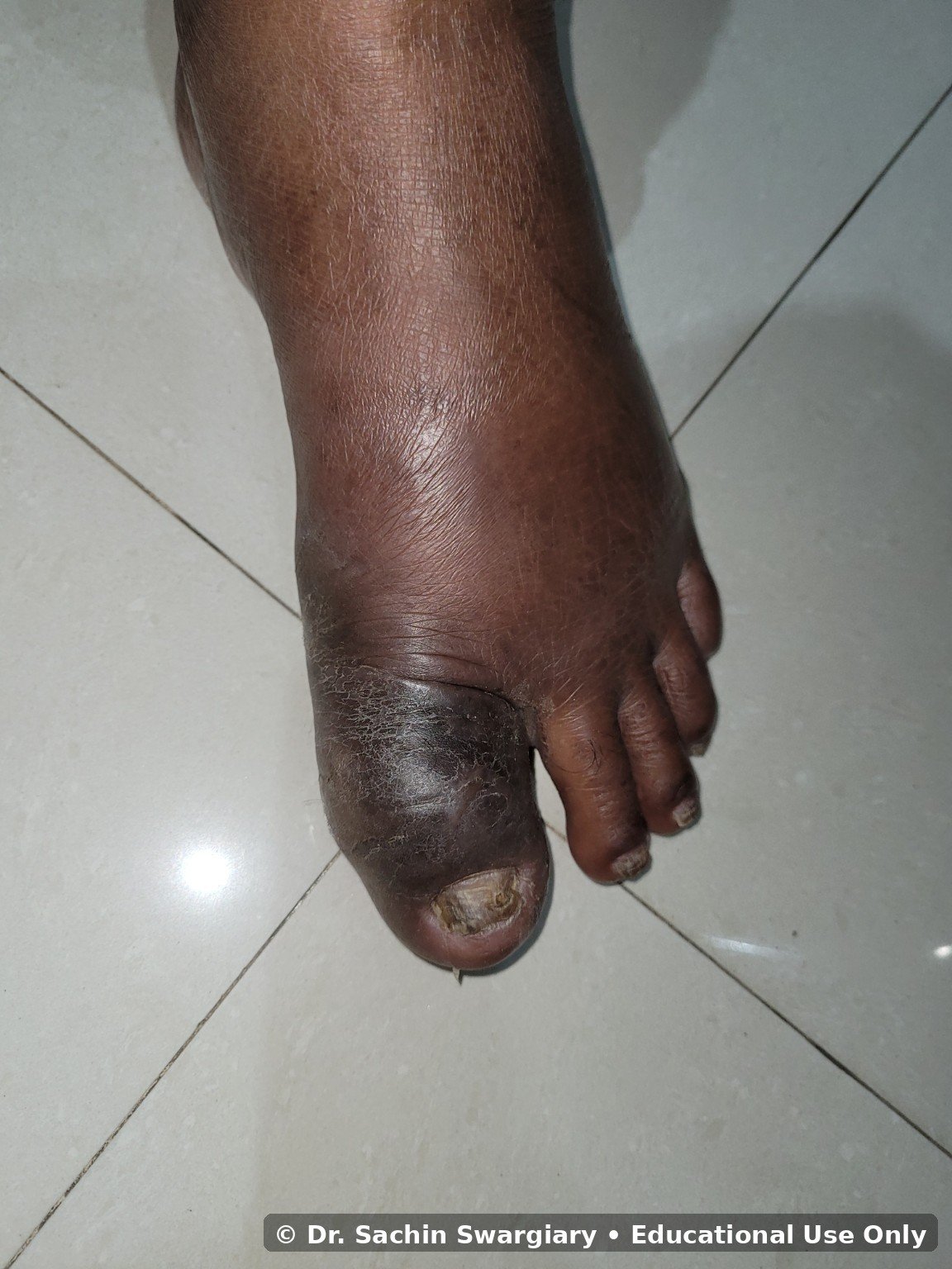 Clinical Gallery educational image 1
