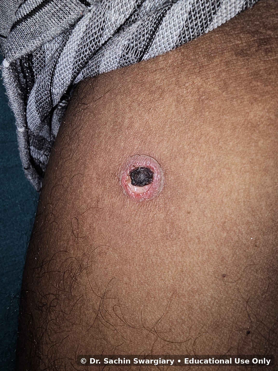Clinical Gallery educational image 7